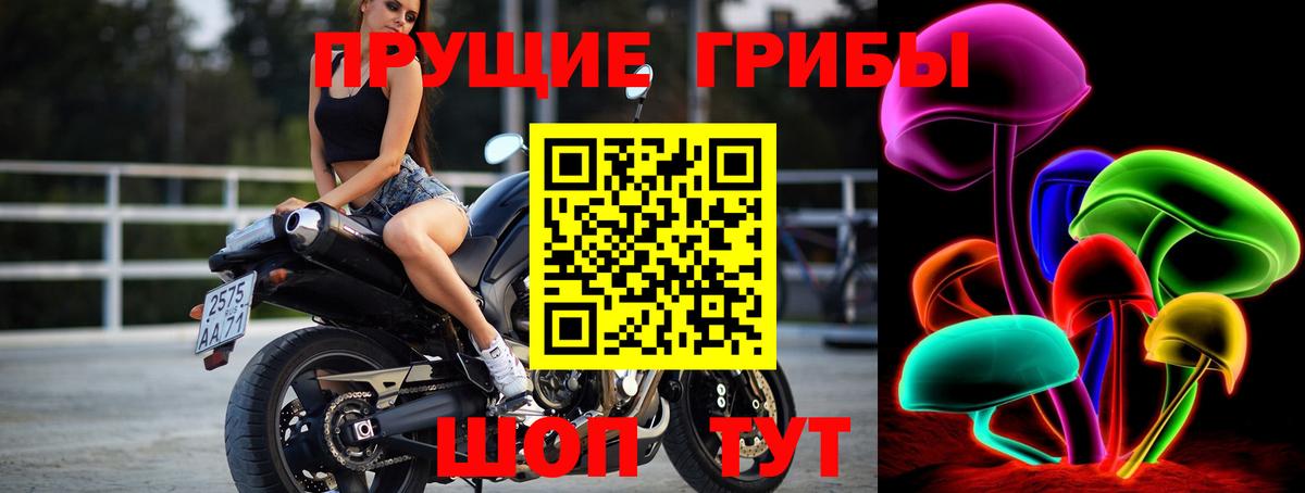 Псилоцибиновые грибы MAGIC MUSHROOMS  Вход с VPN  Краснознаменск 